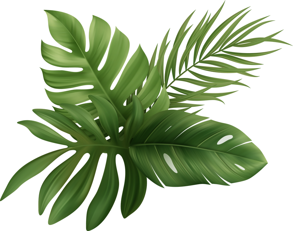 Palm Leaves Tropical