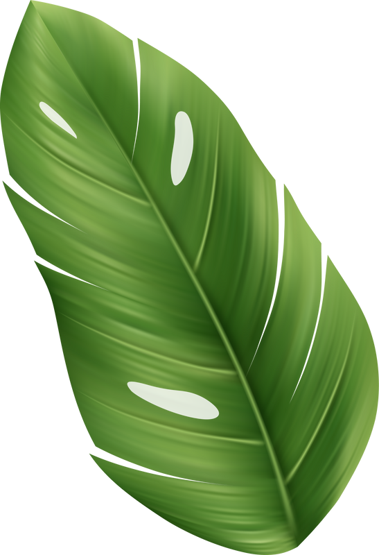 Palm Leaf Tropical