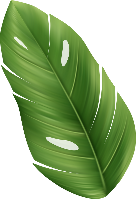 Palm Leaf Tropical