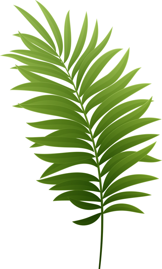 Palm Leaf Tropic